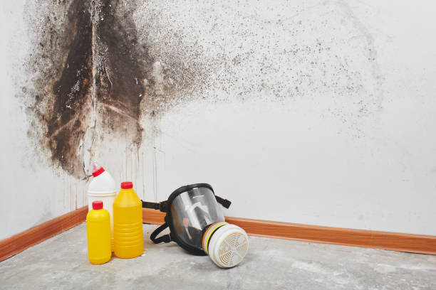 Best Toxic Mold Removal  in Sheridan, CO